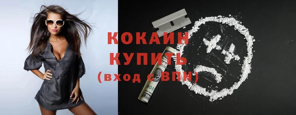 тгк Алексин