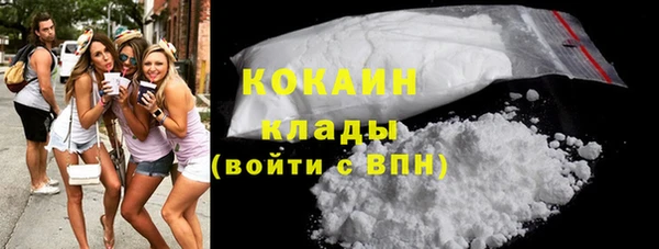 тгк Алексин