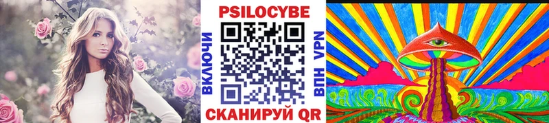 Псилоцибиновые грибы прущие грибы  Купить  Калач 